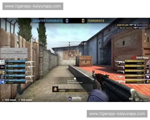 CS2门票：打开属于你的极致战场体验